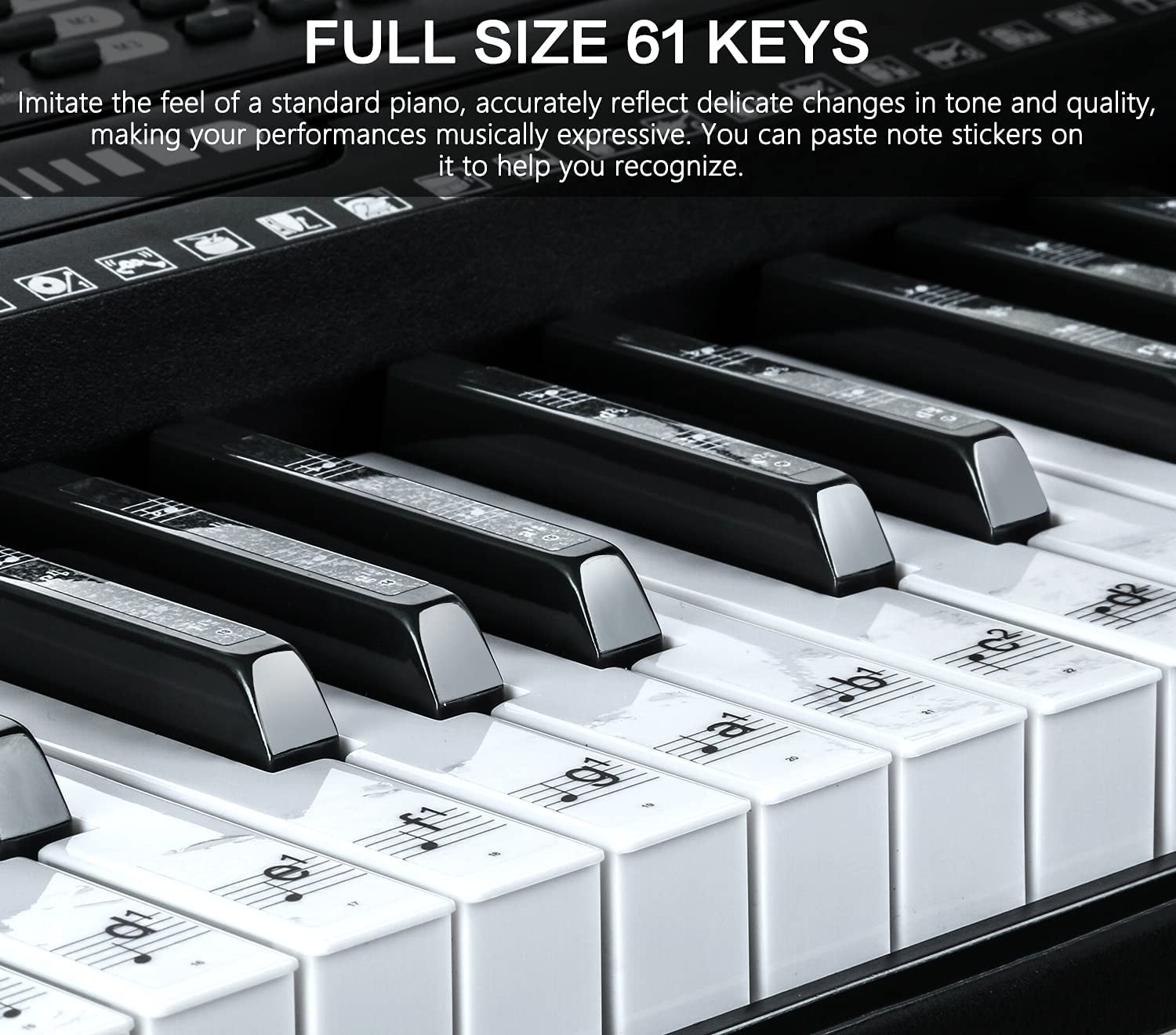 61 Key Portable Electronic Keyboard Piano