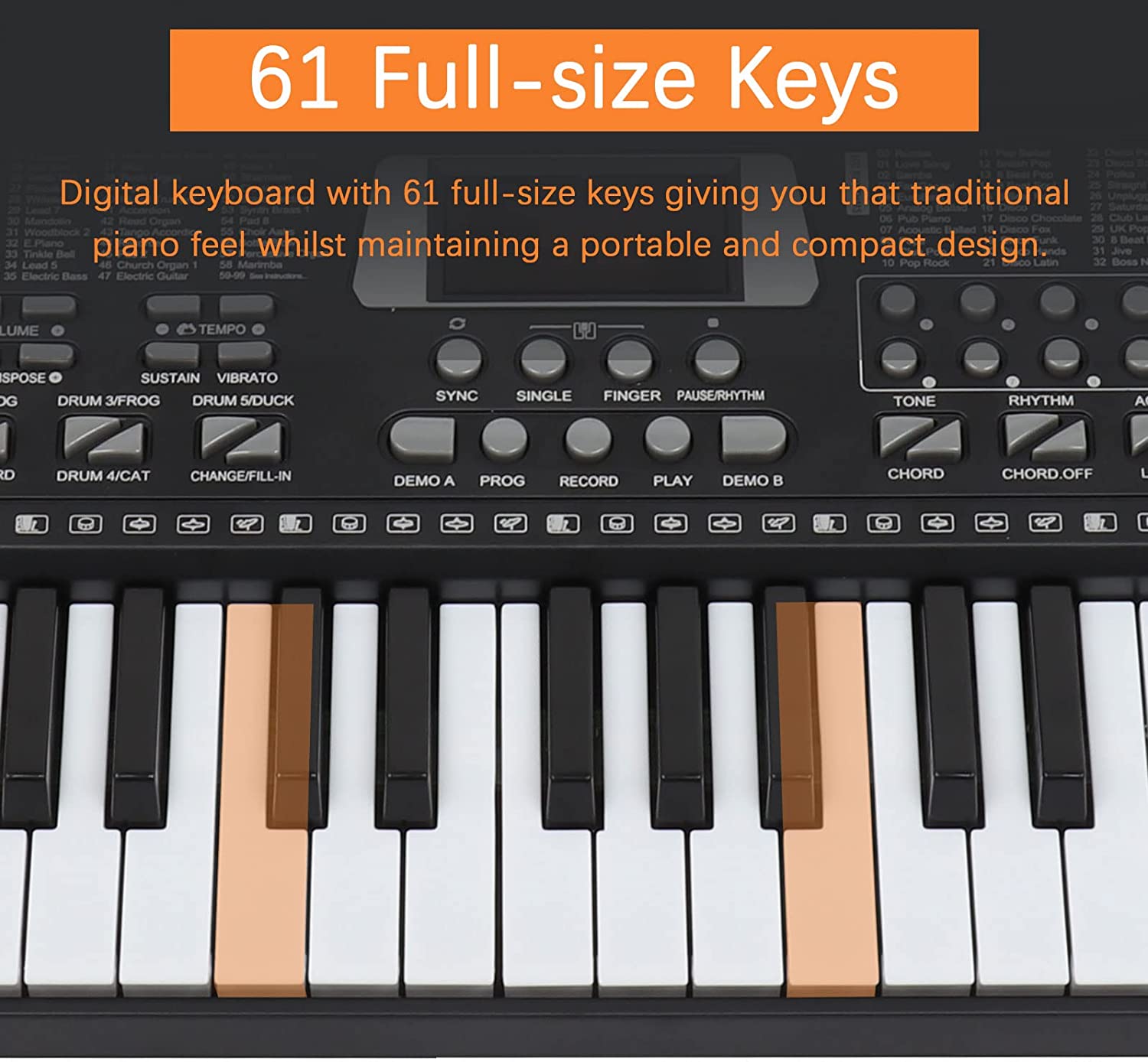 61 Keys Keyboard Piano, Electronic Digital Piano with Built