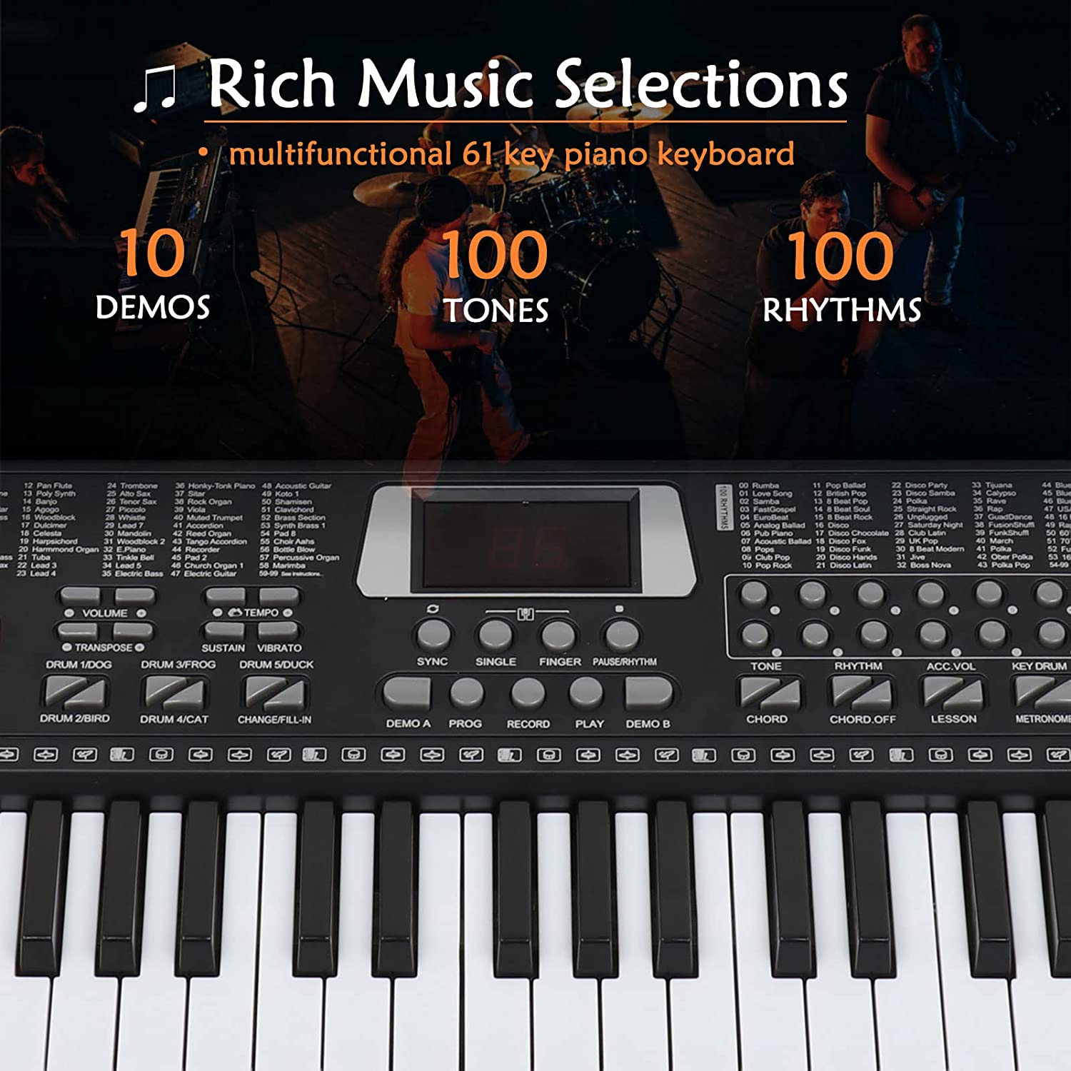 61 Keys Keyboard Piano, Electronic Digital Piano with Built